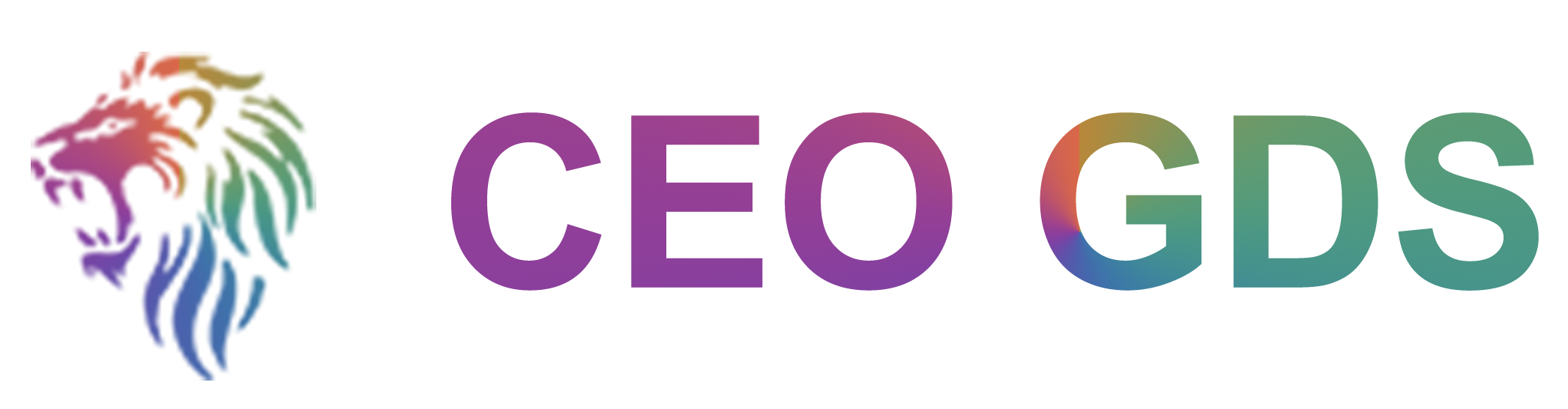 CEO GDS